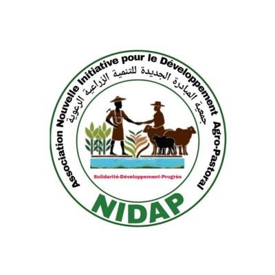 NIDAP Logo